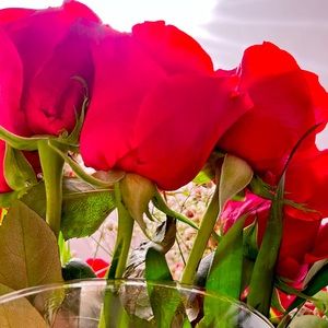 Roses are red & You are Great 😘